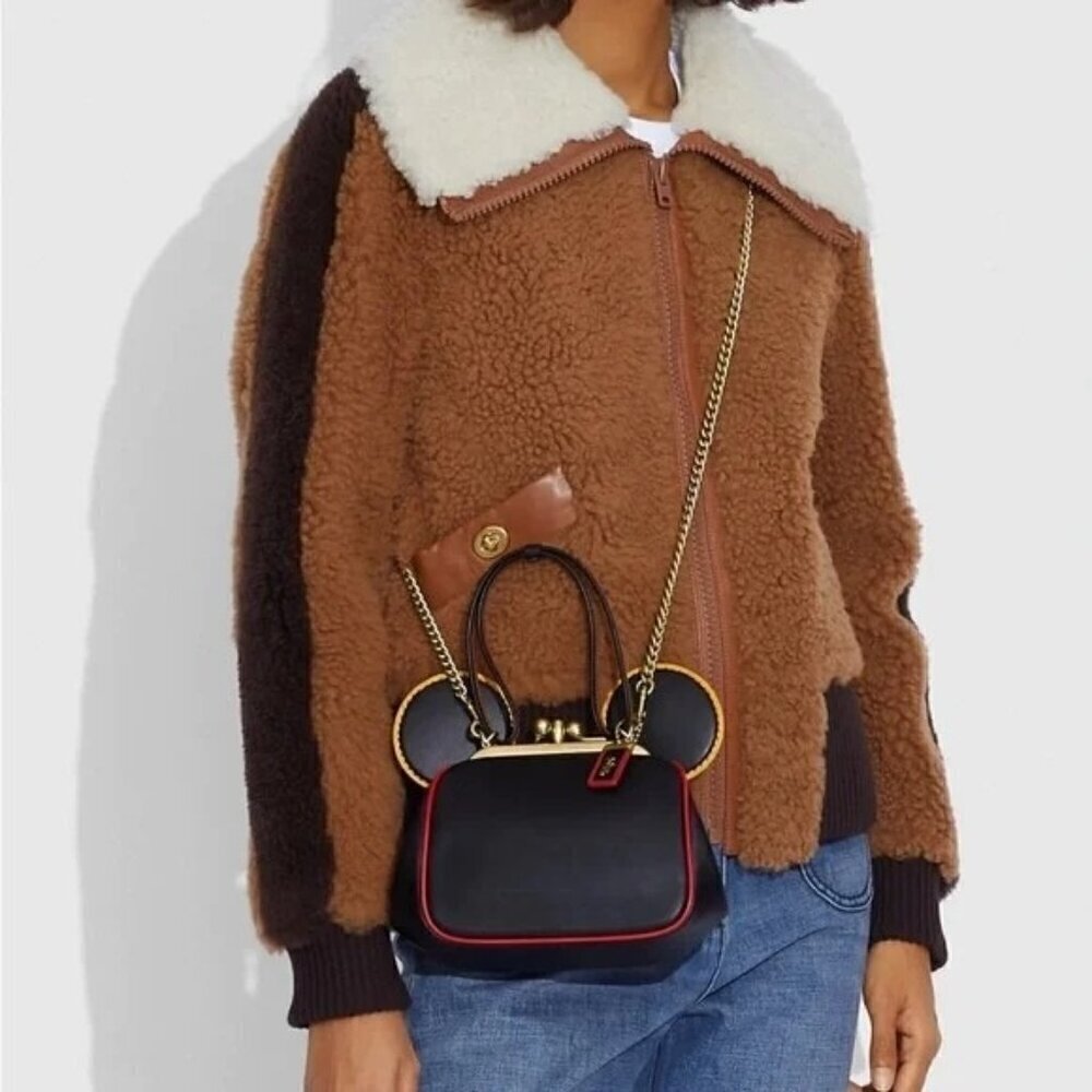 Coach x Mickey Mouse x Keith Haring kisslock bag